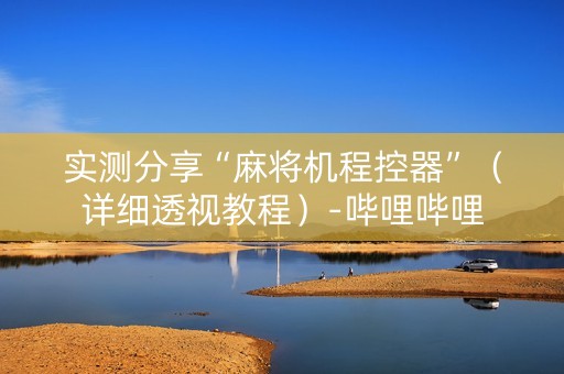 实测分享“麻将机程控器”（详细透视教程）-哔哩哔哩