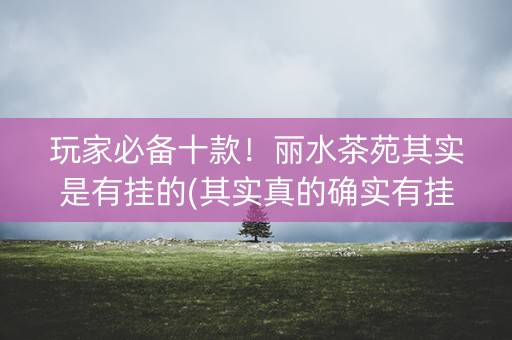 玩家必备十款！丽水茶苑其实是有挂的(其实真的确实有挂)