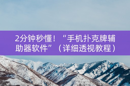 2分钟秒懂！“手机扑克牌辅助器软件”（详细透视教程）-哔哩哔哩