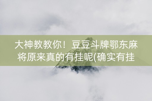 大神教教你！豆豆斗牌鄂东麻将原来真的有挂呢(确实有挂)