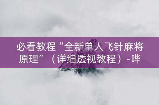 必看教程“全新单人飞针麻将原理”（详细透视教程）-哔哩哔哩