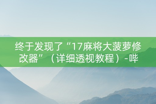 终于发现了“17麻将大菠萝修改器”（详细透视教程）-哔哩哔哩