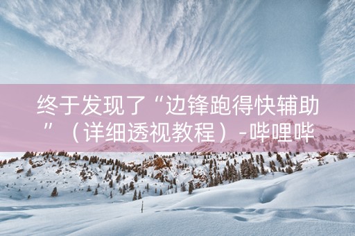 终于发现了“边锋跑得快辅助”（详细透视教程）-哔哩哔哩