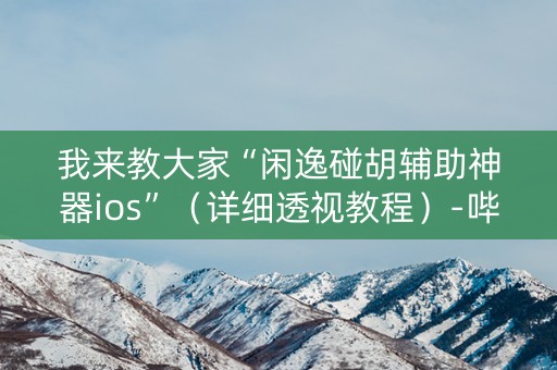 我来教大家“闲逸碰胡辅助神器ios”（详细透视教程）-哔哩哔哩