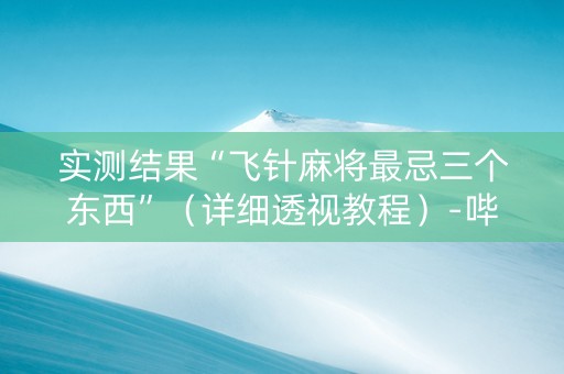 实测结果“飞针麻将最忌三个东西”（详细透视教程）-哔哩哔哩