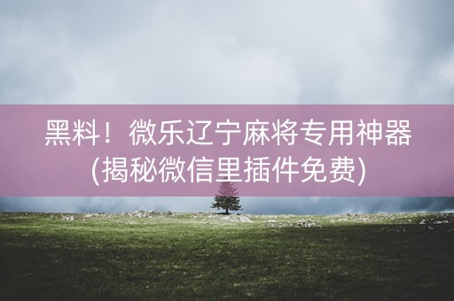 黑料！微乐辽宁麻将专用神器(揭秘微信里插件免费)
