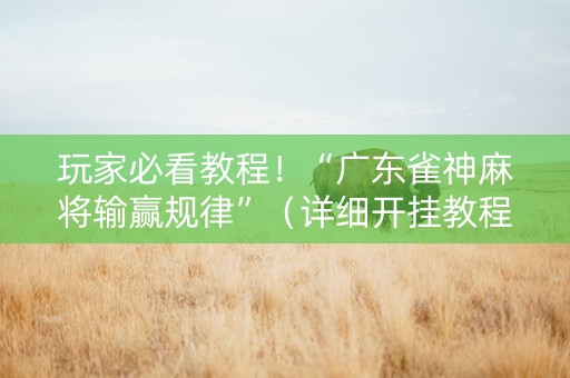 玩家必看教程！“广东雀神麻将输赢规律”（详细开挂教程）-哔哩哔哩