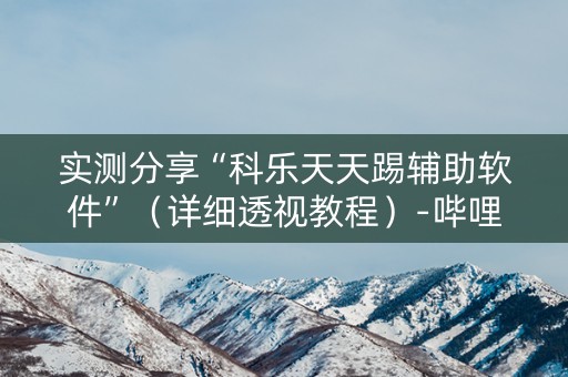 实测分享“科乐天天踢辅助软件”（详细透视教程）-哔哩哔哩