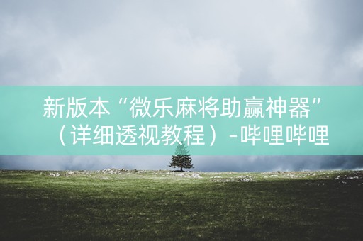 新版本“微乐麻将助赢神器”（详细透视教程）-哔哩哔哩
