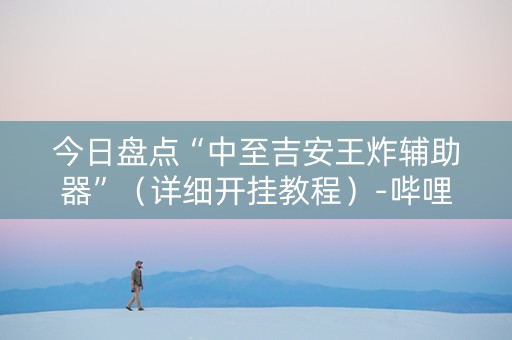今日盘点“中至吉安王炸辅助器”（详细开挂教程）-哔哩哔哩
