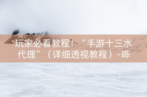 玩家必看教程！“手游十三水代理”（详细透视教程）-哔哩哔哩
