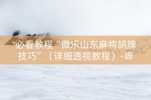 必看教程“微乐山东麻将胡牌技巧”（详细透视教程）-哔哩哔哩