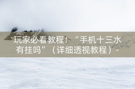 玩家必看教程！“手机十三水有挂吗”（详细透视教程）-哔哩哔哩