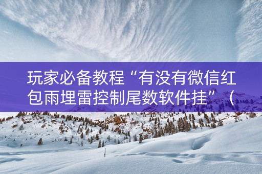 玩家必备教程“有没有微信红包雨埋雷控制尾数软件挂”（详细透视教程）-哔哩哔哩