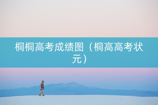桐桐高考成绩图（桐高高考状元）