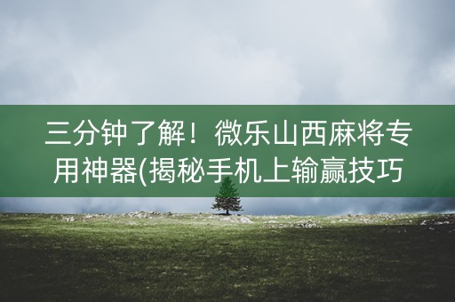 三分钟了解！微乐山西麻将专用神器(揭秘手机上输赢技巧)