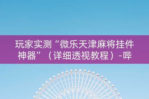 玩家实测“微乐天津麻将挂件神器”（详细透视教程）-哔哩哔哩