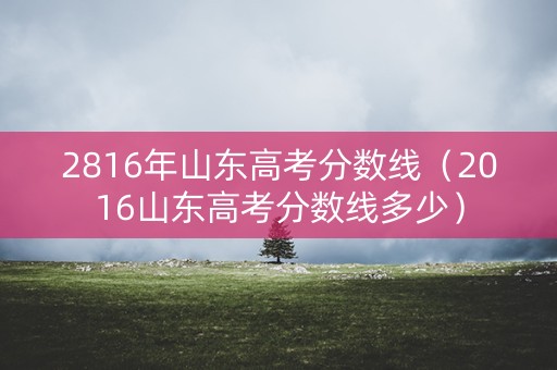 2816年山东高考分数线（2016山东高考分数线多少）