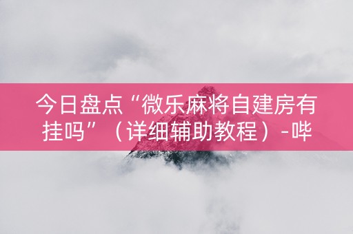 今日盘点“微乐麻将自建房有挂吗”（详细辅助教程）-哔哩哔哩