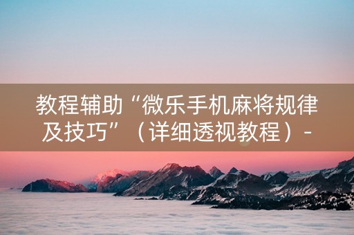 教程辅助“微乐手机麻将规律及技巧”（详细透视教程）-哔哩哔哩