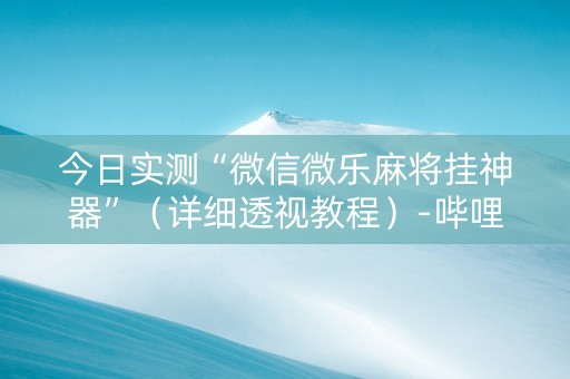 今日实测“微信微乐麻将挂神器”（详细透视教程）-哔哩哔哩