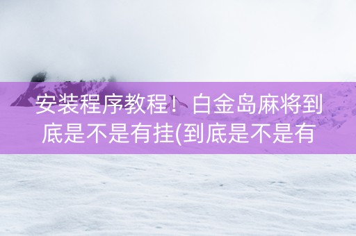 安装程序教程！白金岛麻将到底是不是有挂(到底是不是有挂)