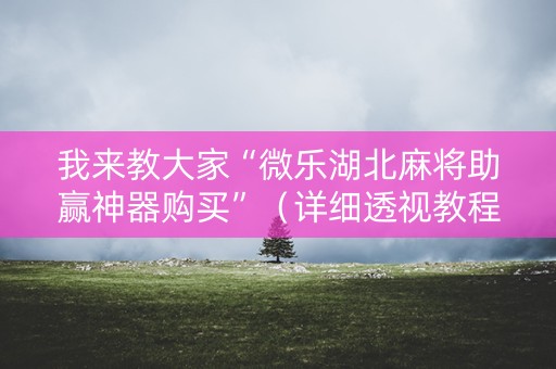 我来教大家“微乐湖北麻将助赢神器购买”（详细透视教程）-哔哩哔哩