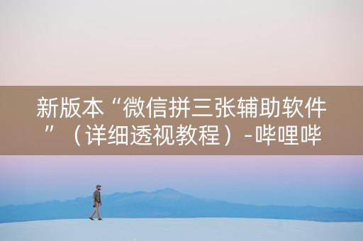 新版本“微信拼三张辅助软件”（详细透视教程）-哔哩哔哩