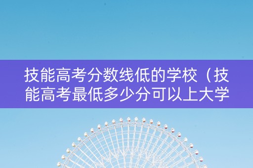 技能高考分数线低的学校（技能高考最低多少分可以上大学）