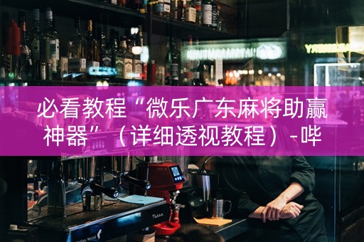 必看教程“微乐广东麻将助赢神器”（详细透视教程）-哔哩哔哩