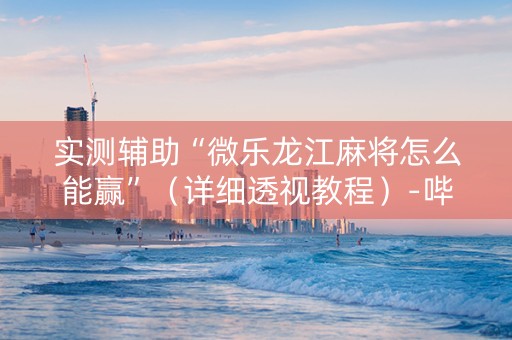 实测辅助“微乐龙江麻将怎么能赢”（详细透视教程）-哔哩哔哩