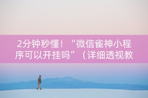 2分钟秒懂！“微信雀神小程序可以开挂吗”（详细透视教程）-哔哩哔哩