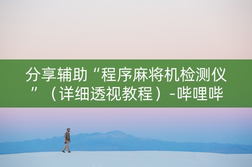 分享辅助“程序麻将机检测仪”（详细透视教程）-哔哩哔哩