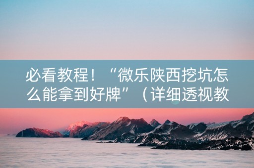 必看教程！“微乐陕西挖坑怎么能拿到好牌”（详细透视教程）-哔哩哔哩