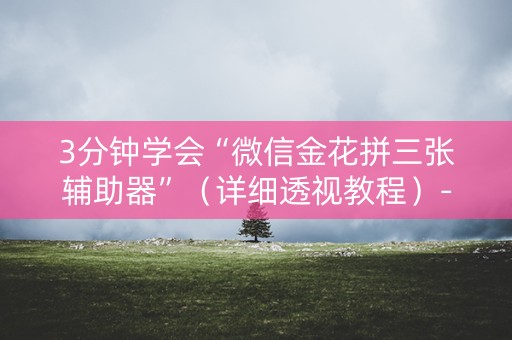3分钟学会“微信金花拼三张辅助器”（详细透视教程）-哔哩哔哩