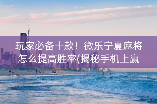 玩家必备十款！微乐宁夏麻将怎么提高胜率(揭秘手机上赢牌技巧)