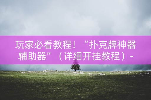 玩家必看教程！“扑克牌神器辅助器”（详细开挂教程）-哔哩哔哩