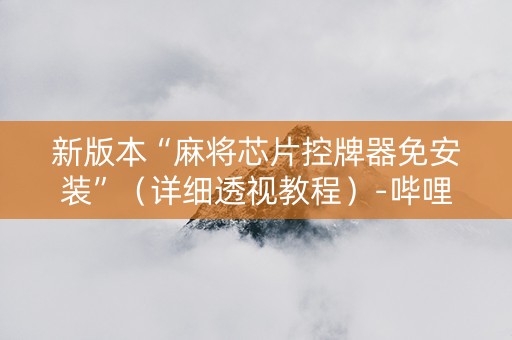 新版本“麻将芯片控牌器免安装”（详细透视教程）-哔哩哔哩