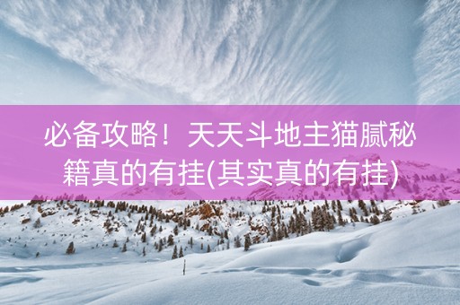 必备攻略！天天斗地主猫腻秘籍真的有挂(其实真的有挂)