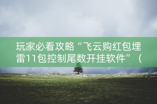 玩家必看攻略“飞云购红包埋雷11包控制尾数开挂软件”（详细透视教程）-哔哩哔哩