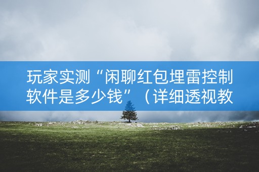 玩家实测“闲聊红包埋雷控制软件是多少钱”（详细透视教程）-哔哩哔哩