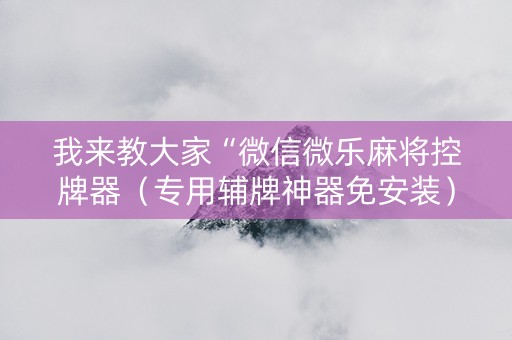 我来教大家“微信微乐麻将控牌器（专用辅牌神器免安装）