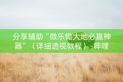 分享辅助“微乐锄大地必赢神器”（详细透视教程）-哔哩哔哩