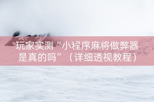 玩家实测“小程序麻将做弊器是真的吗”（详细透视教程）-哔哩哔哩
