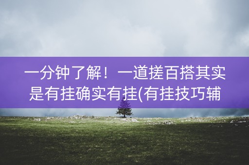 一分钟了解！一道搓百搭其实是有挂确实有挂(有挂技巧辅助器)