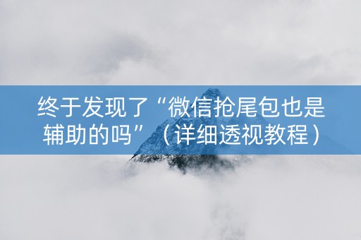 终于发现了“微信抢尾包也是辅助的吗”（详细透视教程）-哔哩哔哩