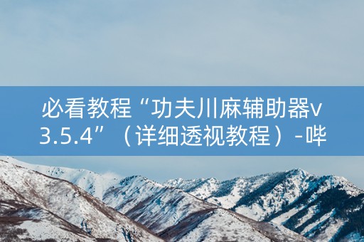必看教程“功夫川麻辅助器v3.5.4”（详细透视教程）-哔哩哔哩