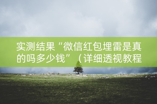实测结果“微信红包埋雷是真的吗多少钱”（详细透视教程）-哔哩哔哩