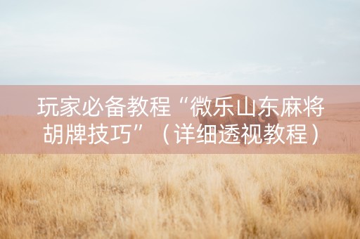 玩家必备教程“微乐山东麻将胡牌技巧”（详细透视教程）-哔哩哔哩
