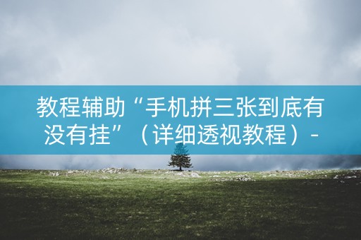 教程辅助“手机拼三张到底有没有挂”（详细透视教程）-哔哩哔哩